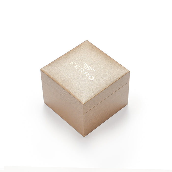 Ferro FM11146B-E3 Leather Band Men Watch